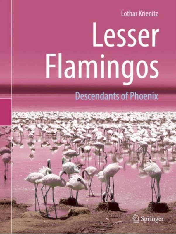 Lesser Flamingos Lothar Krienitz 9783662581629