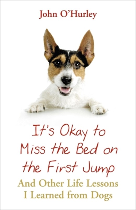 It's OK to Miss the Bed on the First Jump John O'hurley 9780340951378