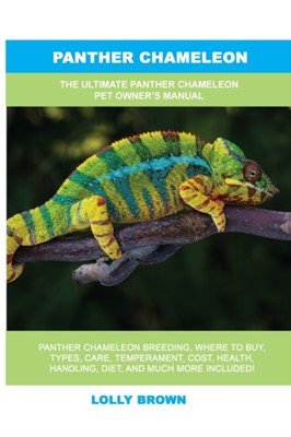 Lolly Brown Panther Chameleon