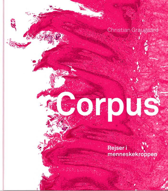 Corpus - rejser i menneskekroppen (, 2024) |
